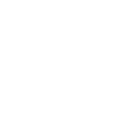penny